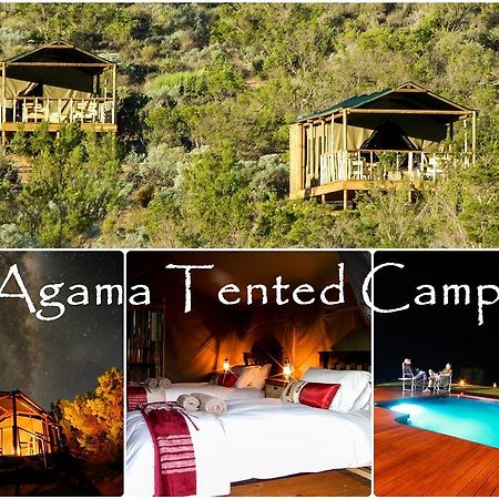 Agama Tented Camp Garies Екстериор снимка