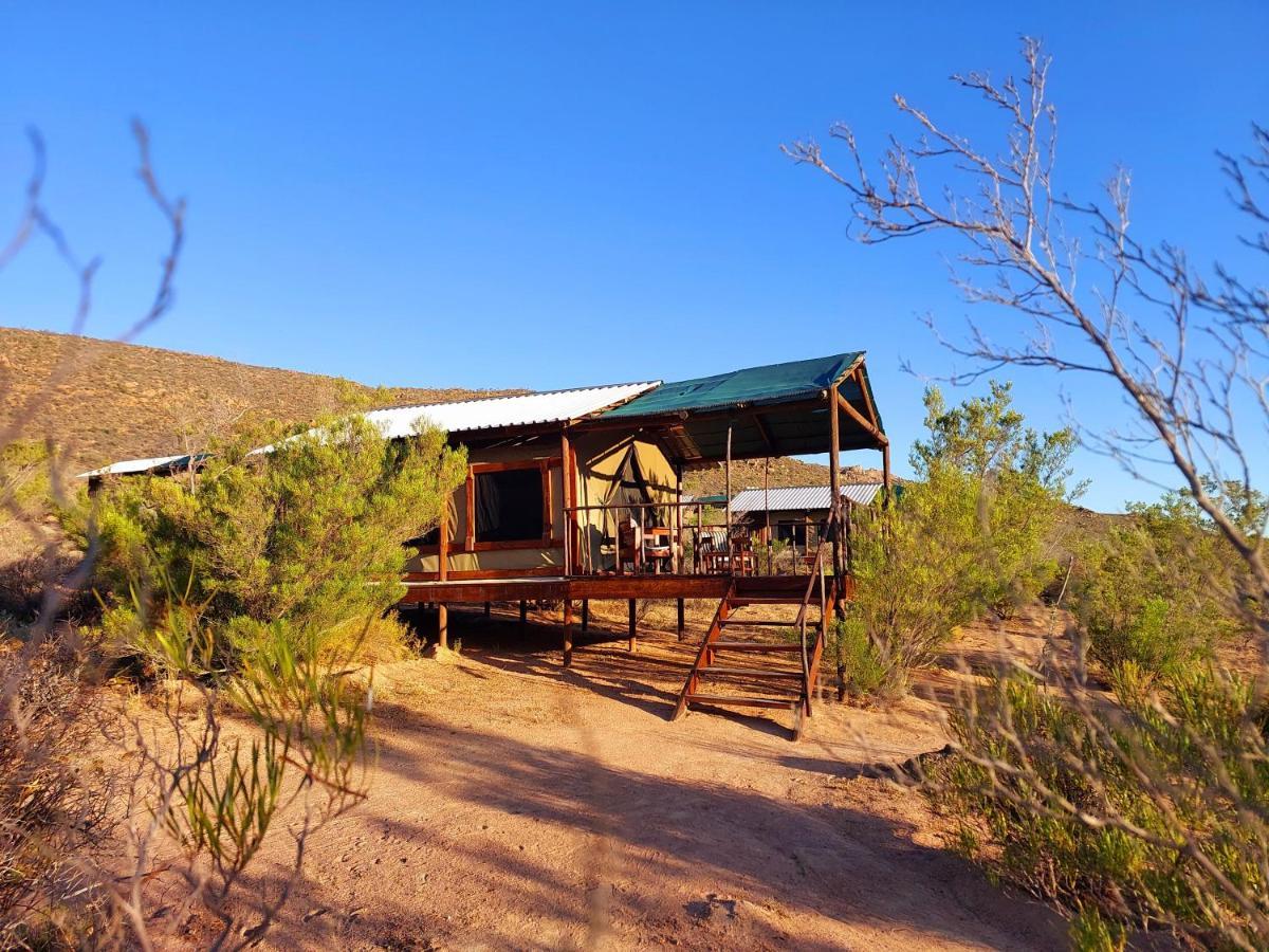 Agama Tented Camp Garies Екстериор снимка