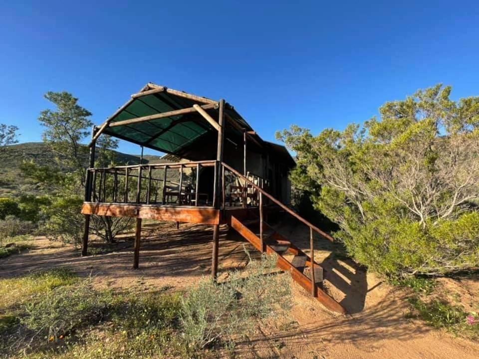 Agama Tented Camp Garies Екстериор снимка