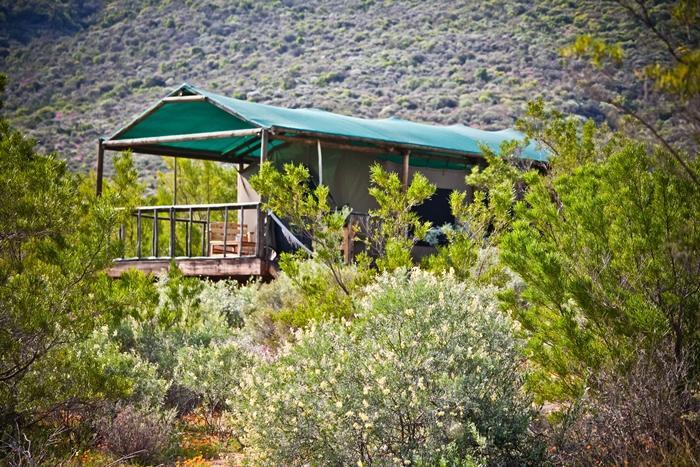 Agama Tented Camp Garies Екстериор снимка