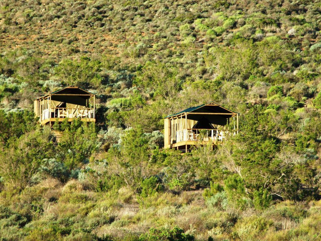 Agama Tented Camp Garies Екстериор снимка