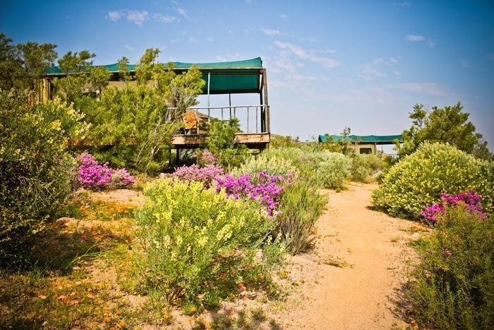 Agama Tented Camp Garies Екстериор снимка