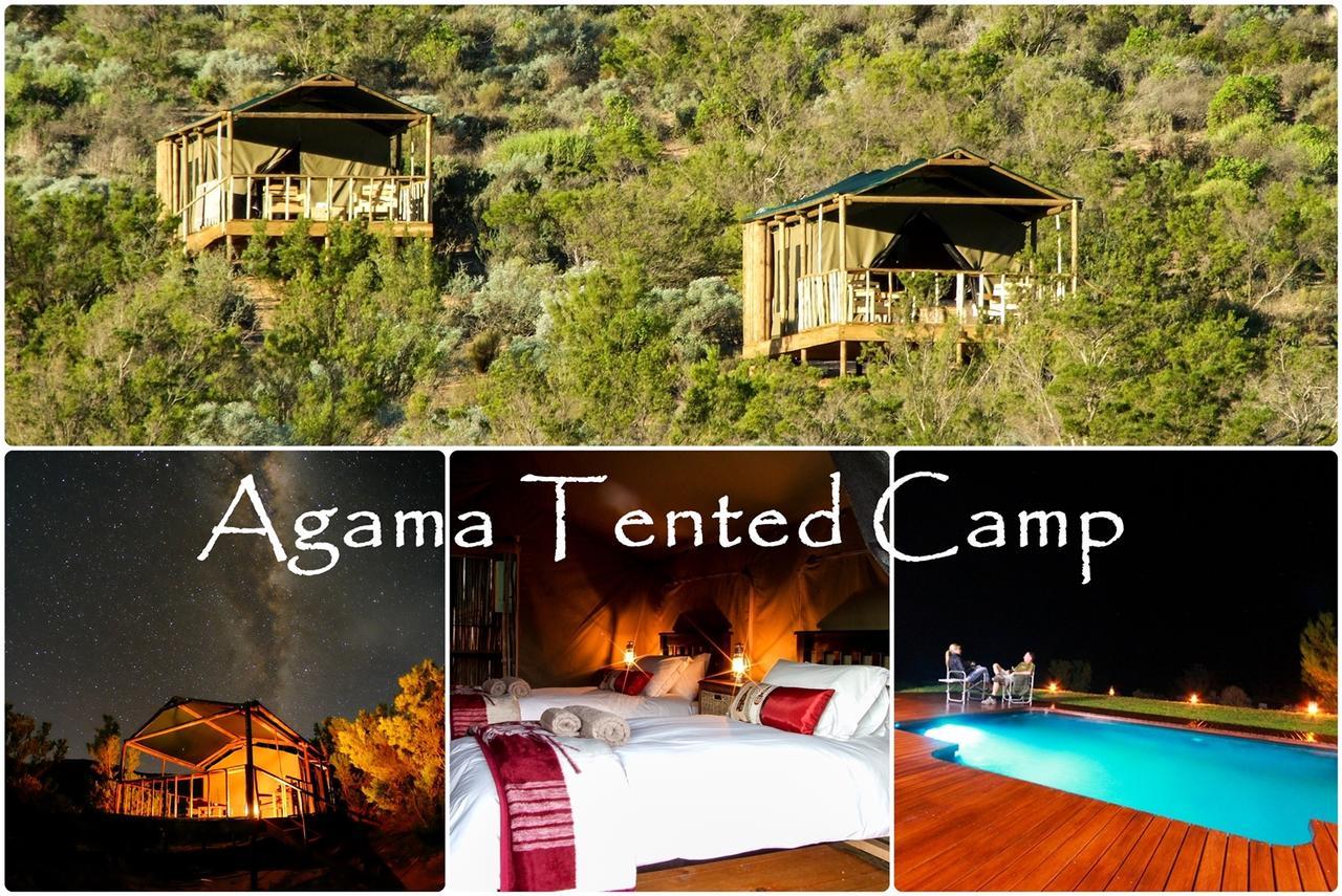 Agama Tented Camp Garies Екстериор снимка